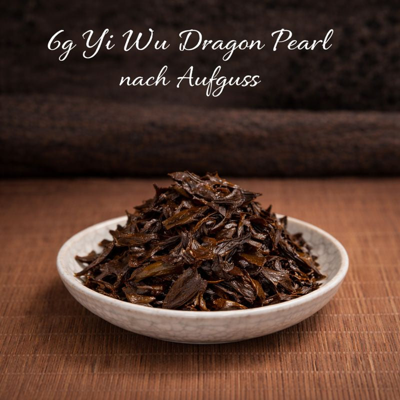 Ancient Tree White Tee "Dragon Pearl"